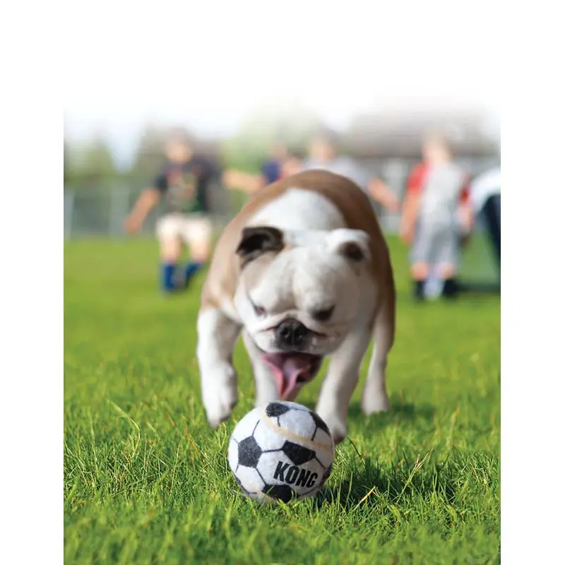 KONG Sport Apportbolde XSmall 3-pak - sjove bolde til små hunde